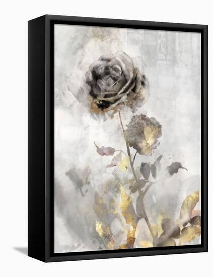 Black Roses II-Ken Roko-Framed Stretched Canvas