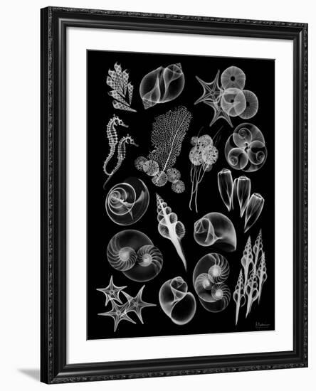 Black Sea-Albert Koetsier-Framed Premium Giclee Print