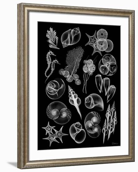 Black Sea-Albert Koetsier-Framed Premium Giclee Print