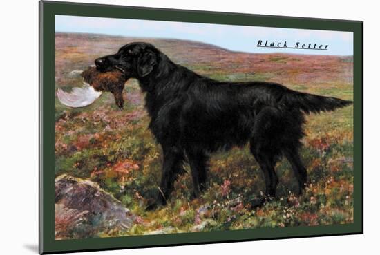 Black Setter-null-Mounted Art Print