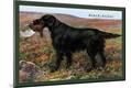 Premium Giclee Print
