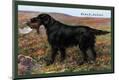 Premium Giclee Print