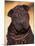 Black Shar Pei Puppy Portrait Showing Wrinkles Face and Chest-Adriano Bacchella-Mounted Photographic Print