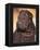 Black Shar Pei Puppy Portrait Showing Wrinkles on the Face and Chest-Adriano Bacchella-Framed Premier Image Canvas