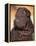 Black Shar Pei Puppy Portrait Showing Wrinkles on the Face and Chest-Adriano Bacchella-Framed Premier Image Canvas