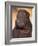 Black Shar Pei Puppy Portrait Showing Wrinkles on the Face and Chest-Adriano Bacchella-Framed Photographic Print