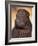 Black Shar Pei Puppy Portrait Showing Wrinkles on the Face and Chest-Adriano Bacchella-Framed Photographic Print