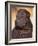 Black Shar Pei Puppy Portrait Showing Wrinkles on the Face and Chest-Adriano Bacchella-Framed Photographic Print