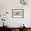 Black Shouldered Kite-Louis Agassiz Fuertes-Framed Art Print displayed on a wall