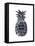 Black Silver Pineapple-Amanda Greenwood-Framed Stretched Canvas