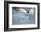 Black Skimmer Coming in for a Landing, Gulf of Mexico, Florida-Maresa Pryor-Framed Photographic Print