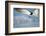 Black Skimmer Coming in for a Landing, Gulf of Mexico, Florida-Maresa Pryor-Framed Photographic Print