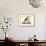 Black Skimmer-John James Audubon-Framed Art Print displayed on a wall