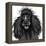 Black Smiling Dog - Poodle-kavalenkava volha-Framed Stretched Canvas