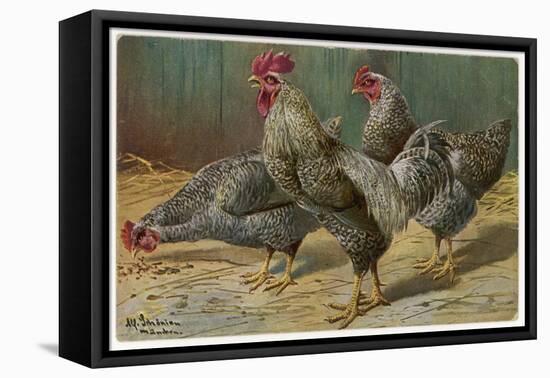 Black-Speckled Cock and Hens, Probably Silver-Laced Wyandottes-A. Schonian-Framed Stretched Canvas