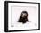 Black Spider Monkey Pedro at Colchester Zoo, 1994-null-Framed Photographic Print