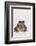 Black-Spined Toad-DLILLC-Framed Photographic Print