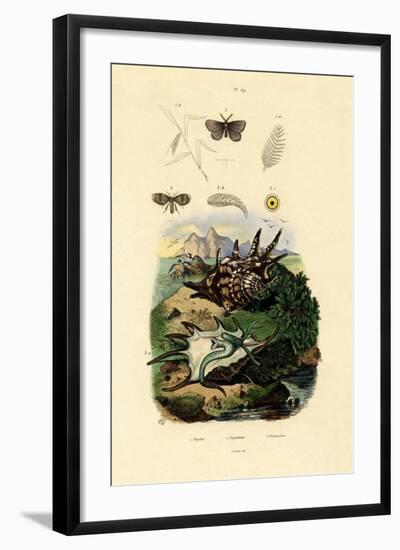 Black-Spotted White, 1833-39-null-Framed Giclee Print