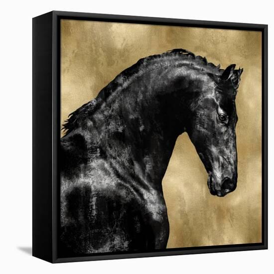 Black Stallion on Gold-Martin Rose-Framed Stretched Canvas