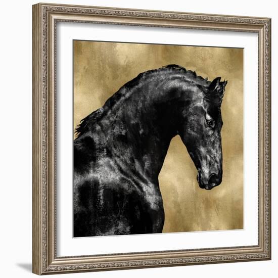 Black Stallion on Gold-Martin Rose-Framed Art Print