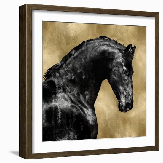 Black Stallion on Gold-Martin Rose-Framed Art Print