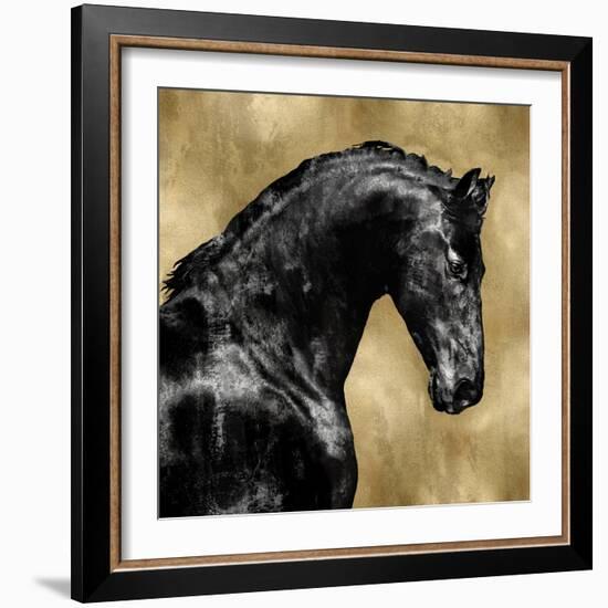 Black Stallion on Gold-Martin Rose-Framed Art Print