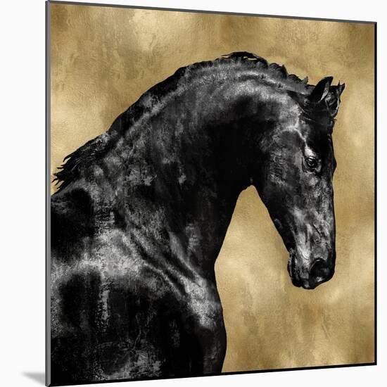 Black Stallion on Gold-Martin Rose-Mounted Art Print