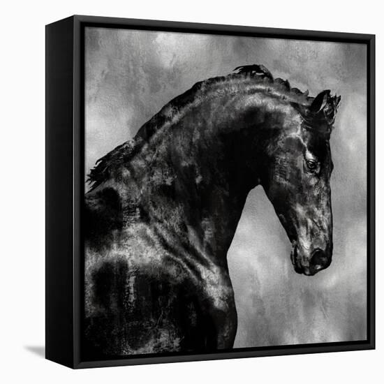 Black Stallion on Silver-Martin Rose-Framed Stretched Canvas