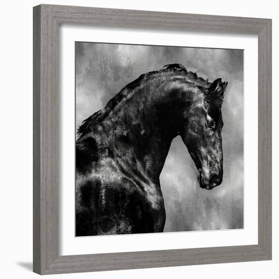 Black Stallion on Silver-Martin Rose-Framed Art Print