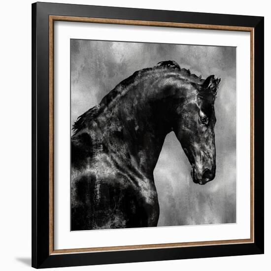 Black Stallion on Silver-Martin Rose-Framed Art Print