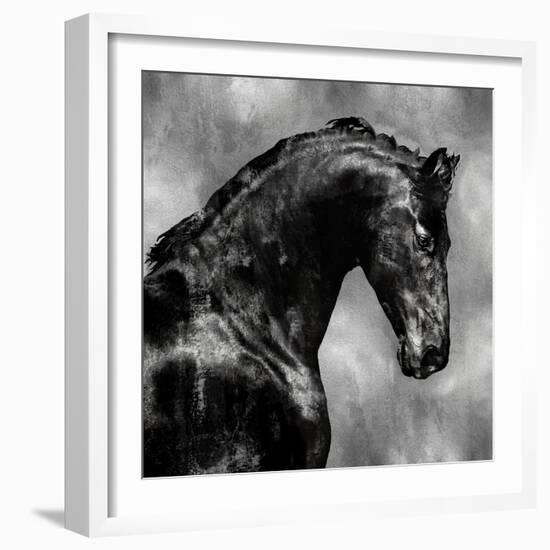 Black Stallion on Silver-Martin Rose-Framed Art Print