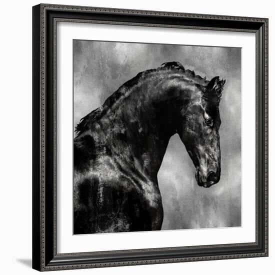 Black Stallion on Silver-Martin Rose-Framed Art Print