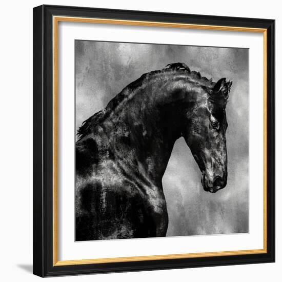 Black Stallion on Silver-Martin Rose-Framed Art Print