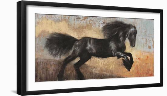 Black Stallion-Dario Moschetta-Framed Art Print