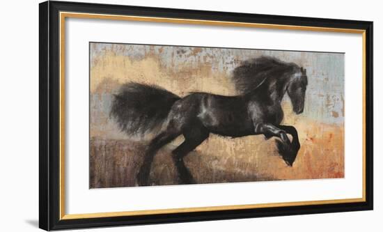 Black Stallion-Dario Moschetta-Framed Art Print