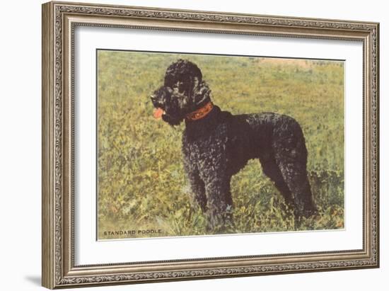 Black Standard Poodle on Grass-null-Framed Art Print