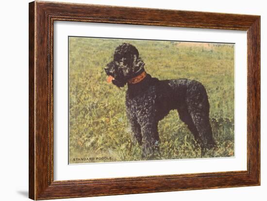 Black Standard Poodle on Grass-null-Framed Art Print