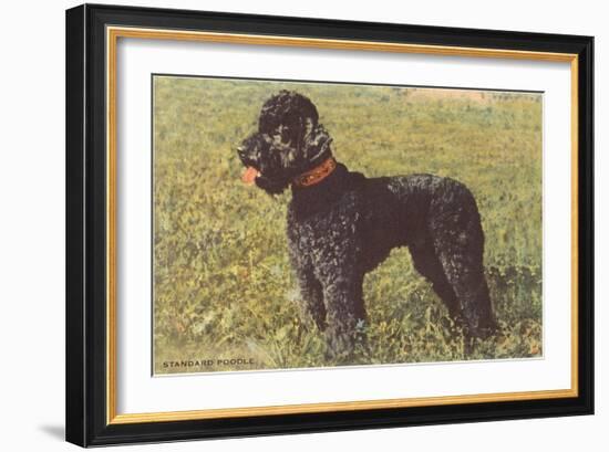 Black Standard Poodle on Grass-null-Framed Art Print