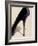 Black Stiletto-Marco Fabiano-Framed Art Print