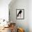 Black Stiletto-Marco Fabiano-Framed Art Print displayed on a wall