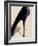 Black Stiletto-Marco Fabiano-Framed Art Print