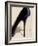 Black Stiletto-Marco Fabiano-Framed Art Print