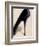 Black Stiletto-Marco Fabiano-Framed Art Print