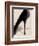 Black Stiletto-Marco Fabiano-Framed Art Print