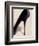 Black Stiletto-Marco Fabiano-Framed Art Print