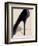 Black Stiletto-Marco Fabiano-Framed Art Print