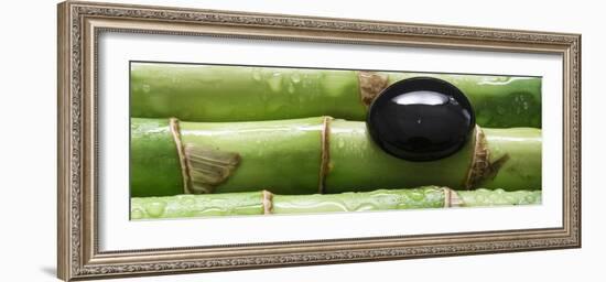 Black Stone on Bamboo-Uwe Merkel-Framed Photographic Print