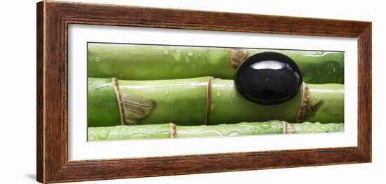 Black Stone on Bamboo-Uwe Merkel-Framed Photographic Print