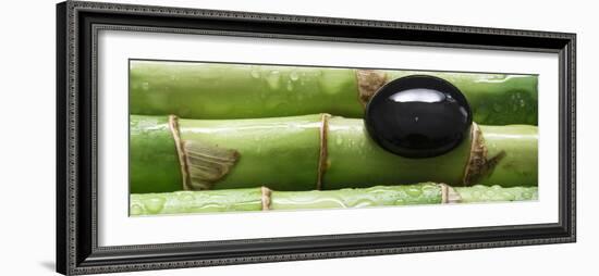 Black Stone on Bamboo-Uwe Merkel-Framed Photographic Print