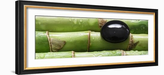 Black Stone on Bamboo-Uwe Merkel-Framed Photographic Print